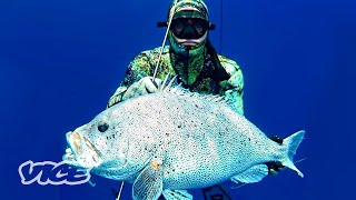 Spearfishing in Australia