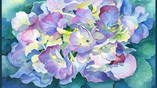 5 Tips for Painting Realistic Hydrangeas with Watercolor