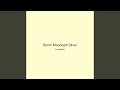 Storm Moonlight Silver