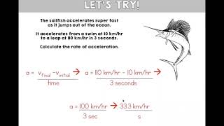Acceleration Notes