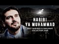 HABIBI YA MUHAMMAD ✨ Most Beautiful Islamic Nasheed 2026 | Emotional Arabic Spiritual Music