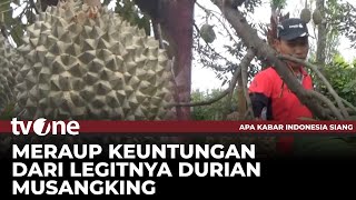 Durian Musangking Jadi Primadona Petani Jombang | AKIS tvOne