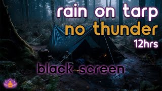 [Black Screen] Rain on Tarp No Thunder | Rain Ambience | Rain Sounds for Sleeping