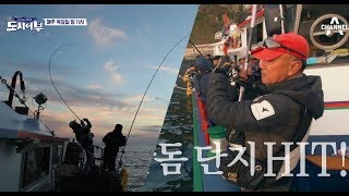 [도시어부 선공개] 상상도 못했던 일이 현실이 되는 곳, 울릉 Island | 채널A 도시어부 63회