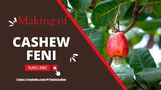 CASHEW FENI : The traditional way of making