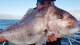 Cooking my First 22 lb Big Pink Snapper after Fishing