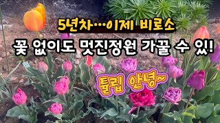 꽃이 져도 멋드러진3종