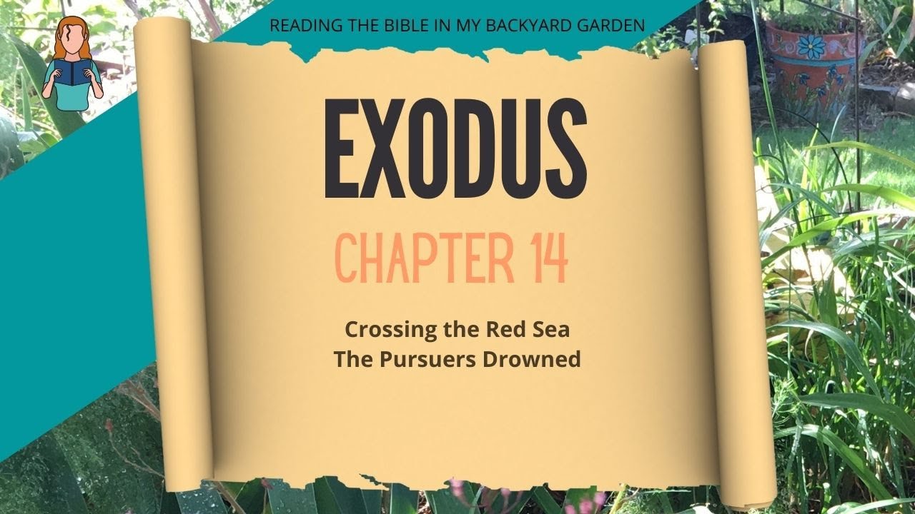 Exodus Chapter 14 | NRSV Bible Reading - YouTube