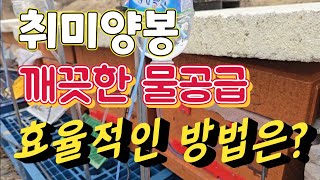 [취미양봉]소규모 양봉 꿀벌에게 깨끗한 물 주기 위한 방법, 물통 고정 효율적인 아이디어 찾습니다