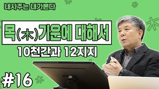 목(木) ㅣ  사주강의 ㅣ 사주명리학 초급