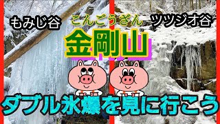 【寒波が来た金剛山　ダブル氷爆　寒波時】ツツジオ谷\u0026もみじ谷