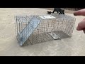 Havahart 1079SR Large 1 Door Humane Catch and Release Live Animal Trap Review