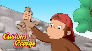 George's Search for Bunnies!  🐵 Curious George 🐵 Kids Cartoon 🐵 Kids Movies