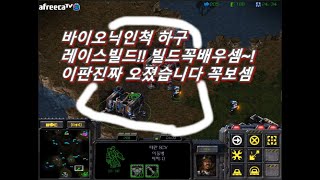 [스틱] 테란 난이도★★★★★ 바이오닉인척 낚시 벌처 레이스빌드 혼자3명 다털어봄 최강종족 2저그1테란 상대로 헌터스타팀플 TeamPlay StarCraft  星際爭霸