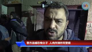 20190219  亚非反恐形势严竣  埃及叙利亚连遭恐袭