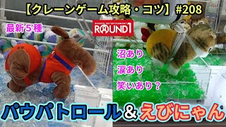 パウパトロール６種☆ モフサンドえびにゃん☆ ROUND1で確率無視攻略を狙います！！【クレーンゲーム】