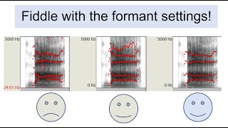 Praat 3 - Formant settings