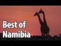 Best of Namibia: Highlights, Unique Scenes, Lot of Safari-Activities / Vacation Travel Guide