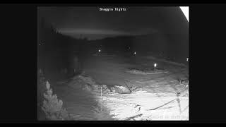 WBC Day Use Parking Lot Cam - 2025.01.18