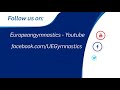 oleksandr petrenko ukr 2018 artistic gymnastics europeans qualification pommel horse