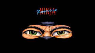 Amiga music: Ninja Remix ('The Palace')