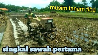 traktor sawah singkal tanah perdana musim ini