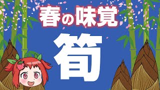 急速に成長するタケノコの栄養効果ついて【ゆっくり解説】