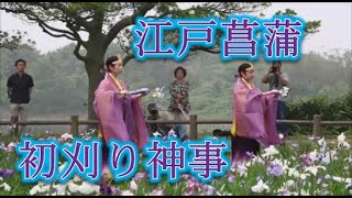 【REUPLOAD】2018宮地嶽神社菖蒲まつり！！江戸菖蒲初刈り神事（神楽）！！