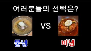 물냉 VS 비냉ㅣ여러분들의 선택은?