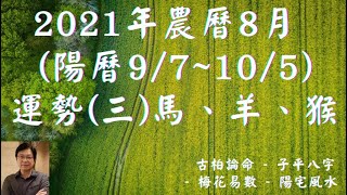 【古柏論命】2021年農曆8月(陽曆9/7 ~ 10/5)生肖八字流月運勢分享 (三) 馬、羊、猴