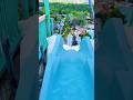 Summit Plummet at Disney’s Blizzard Beach! #disney #blizzardbeach #waterslide