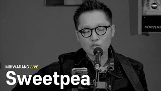 스위트피 Sweetpea / 진심을 너에게 Regret [MIHWADANG LIVE]