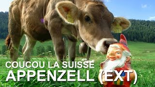 Coucou la Suisse à Appenzell (Ext) : le fromage Appenzeller, Herisau et Heiden