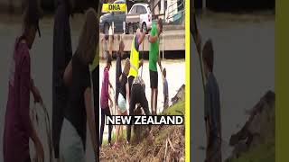 Cyclone Gabrielle: Aerial footage shows extent of New Zealand flood damage #shorts
