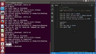 Shell Scripting Tutorial for Beginners [03] Read User Input HD