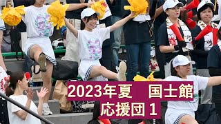 高校野球西東京大会　国士舘チア・ブラスバンド応援１