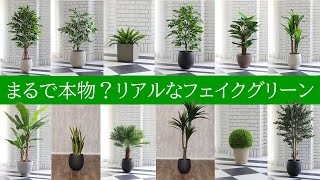 まるで本物？リアルなフェイクグリーン（人工観葉植物）のご紹介　株式会社エルブレイン