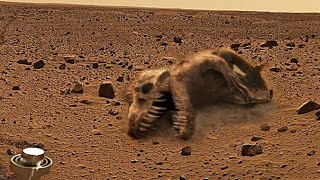 Perseverance Mars Rover New 4k Footage 2023 || Mars 4k Video || Mars Perseverance Rover Sol 826