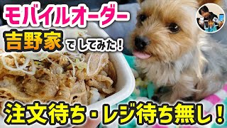 「アプリ不要で牛丼を注文！」吉野家のモバイルオーダーで牛丼をテイクアウトした流れ！