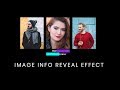 Image Info Box Hover Effect | CSS Text Reveal on Hover Effect