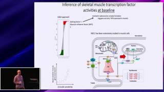 A molecular signature linked to calcium signalling, Peter Davidsen