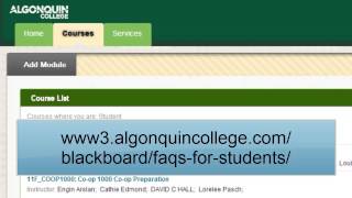 Getting Started with Blackboard