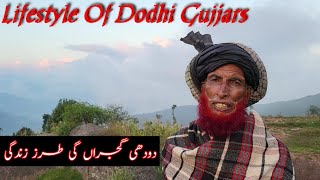 Dodhi Gujjars ||Lifestyle of Gujjars ||Tribal Colour ||  دودھی گجر|| طرز زندگی