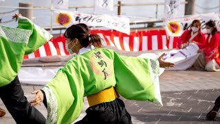 紫踊屋　第16回大阪ベイエリアWorldアポロン祭2022　ピロテイ広場