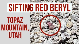 Sifting for Red Beryl at Topaz Mountain, Utah!