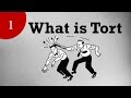 What is Tort ?