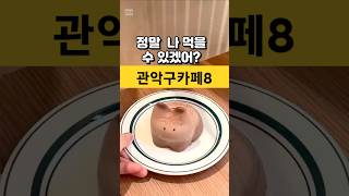 [동네카페]서울 관악구 힙한 카페 베이커리8