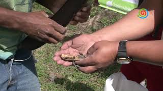 Minec desarrolló jornada de embellecimiento y desinfección en el Parque Recreacional Alí Primera 8