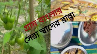 আজকের রান্নাটা ছিলো জাস্ট অসাধারণ।  খেতেও হয়েছিল দুর্দান্ত স্বাদ।Village Bangla Vlog/ Village Vlog