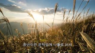 신태성 (중년을 맞으며)